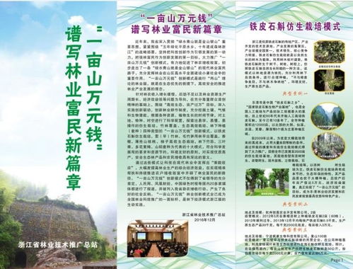 浙江省林業技術推廣總站的使命與實踐 架起科技與林農的橋梁